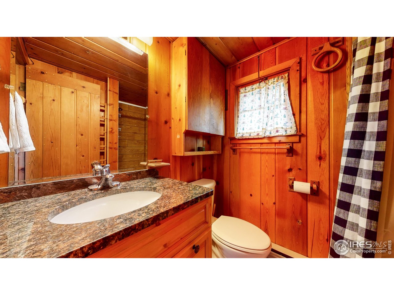 11563 Peak To Peak Dr