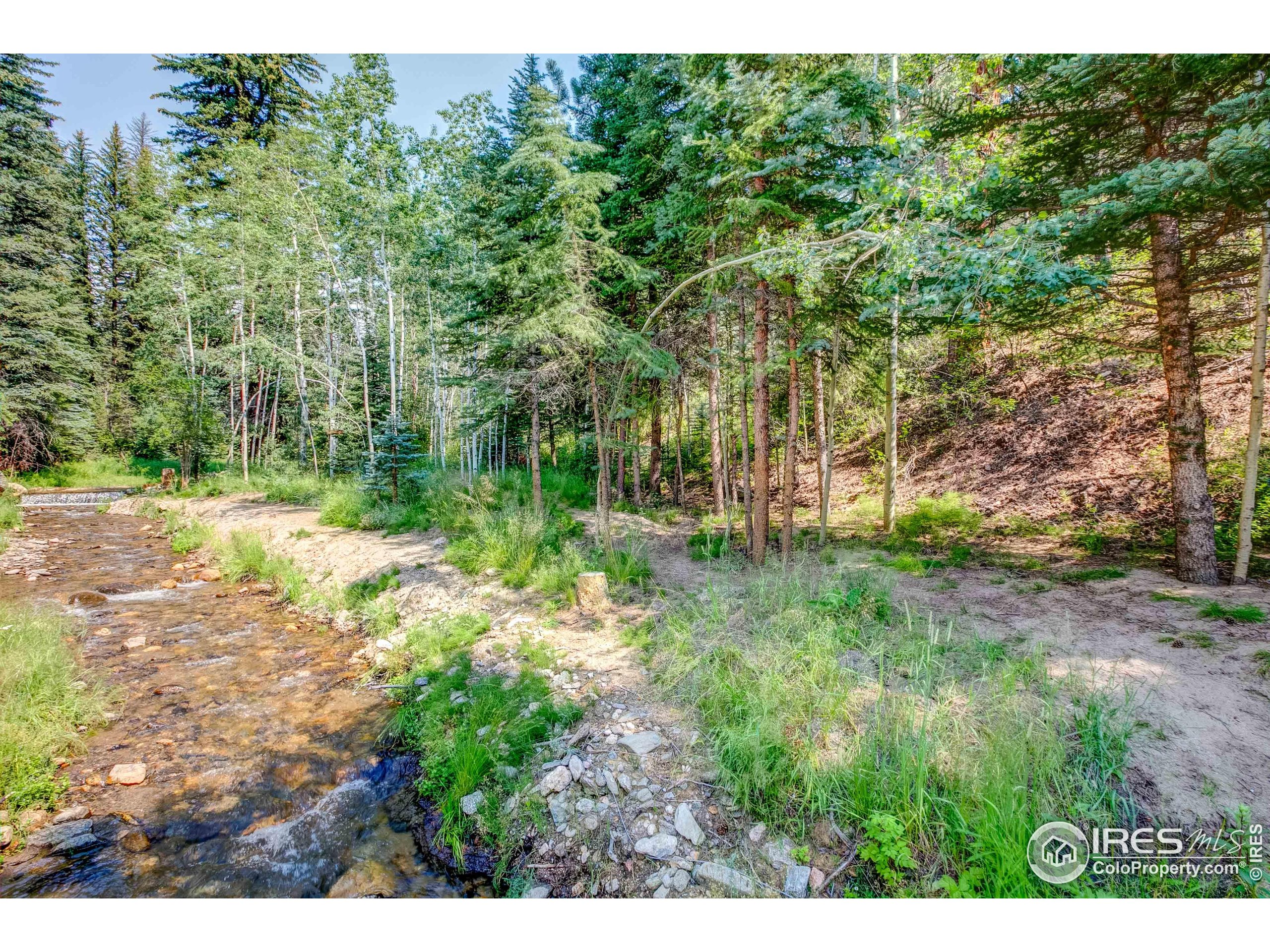 1142 Streamside Dr