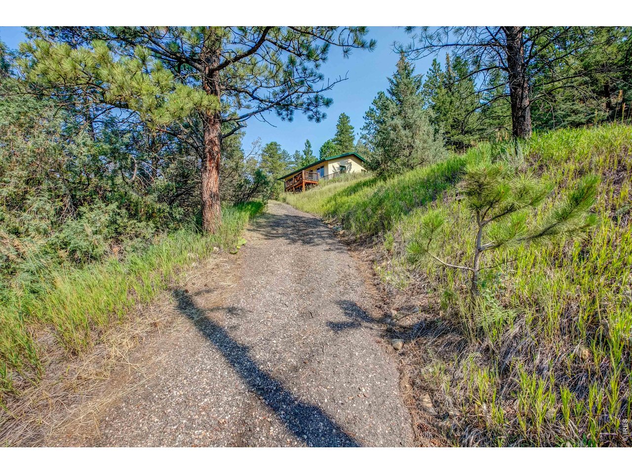 1142 Streamside Dr