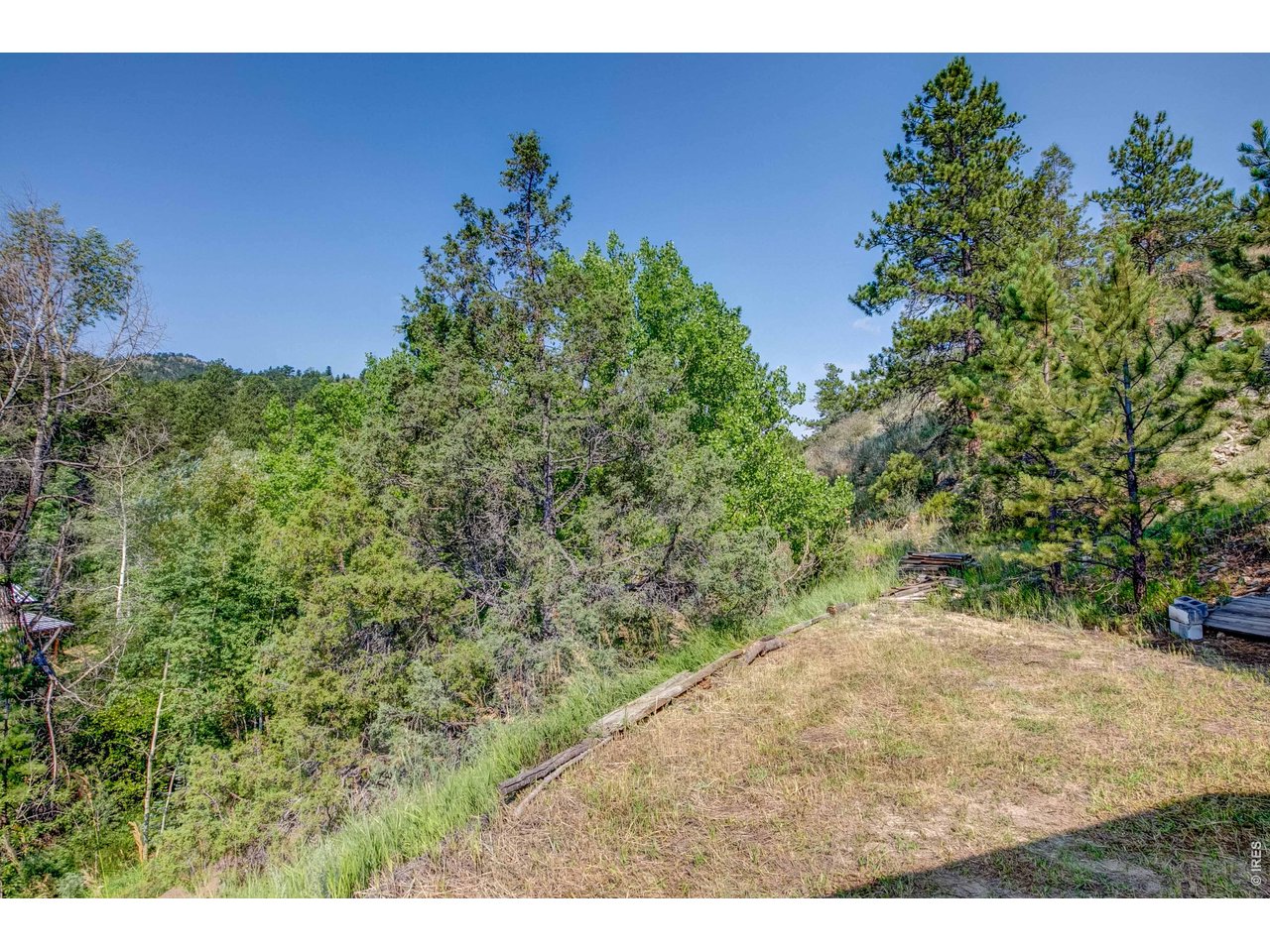 1142 Streamside Dr