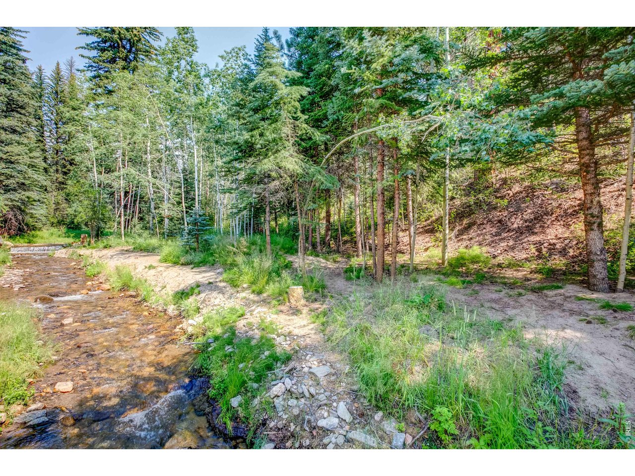 1142 Streamside Dr