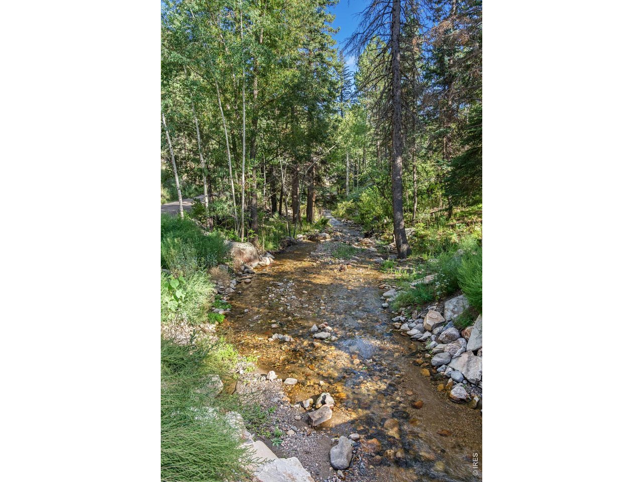 459 Streamside Dr
