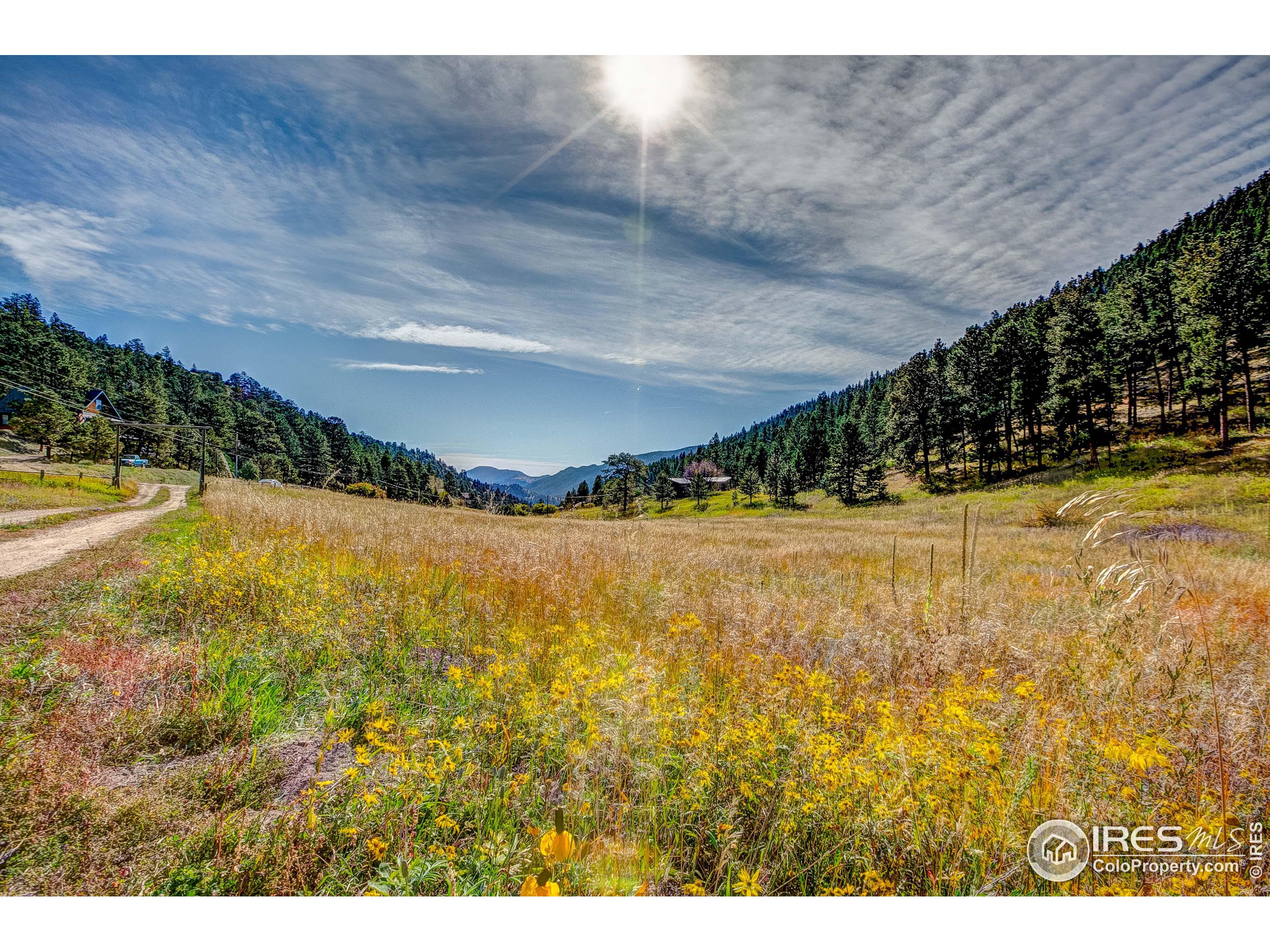 1557 Dunraven Glade Rd