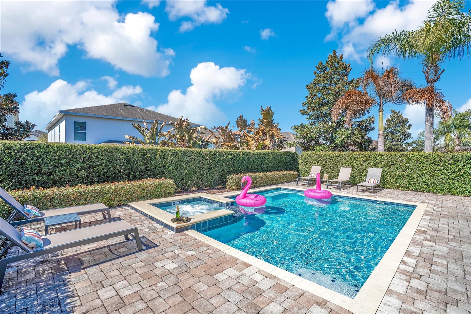 631 LASSO DR
