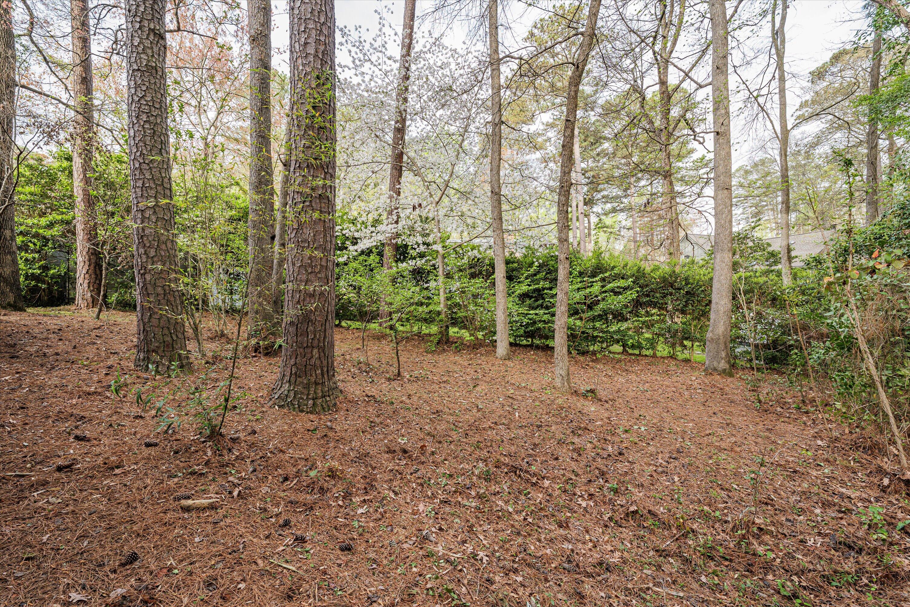 405 WAVERLY DRIVE