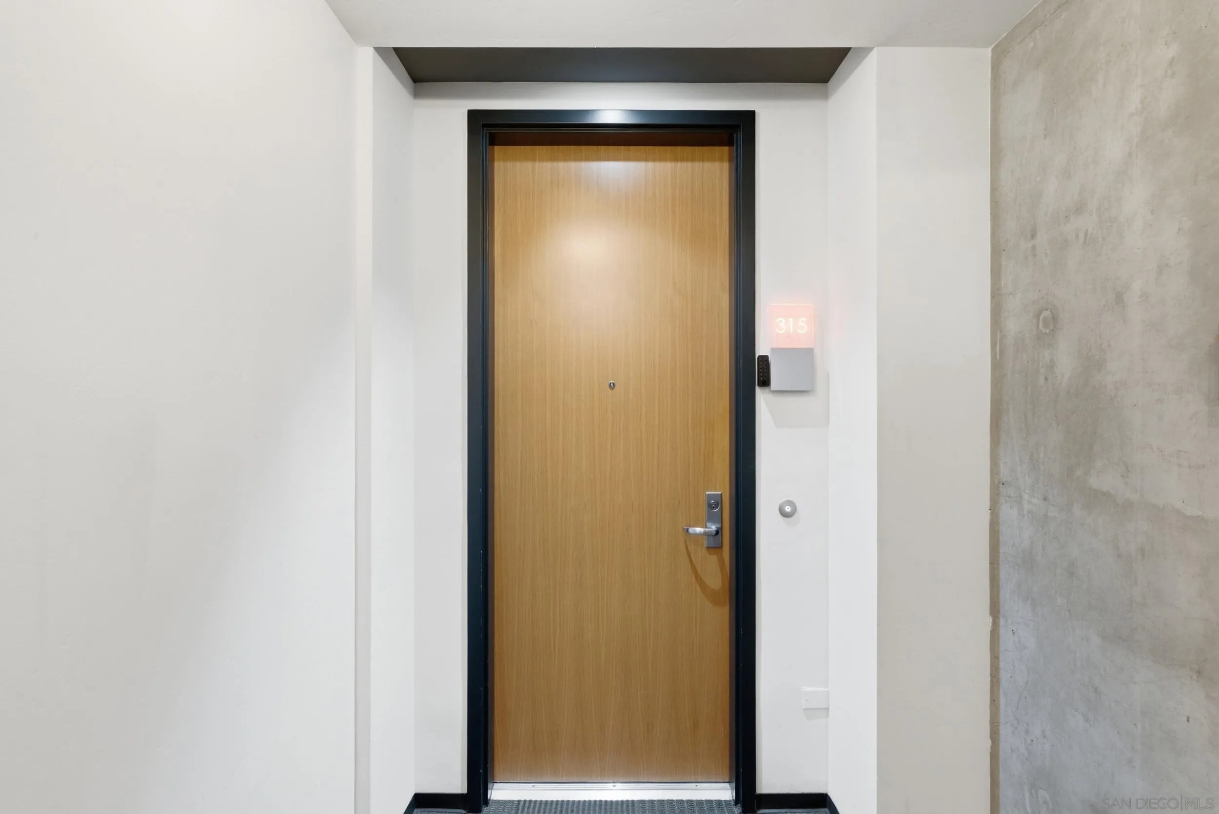 1025 Island Ave Unit 315