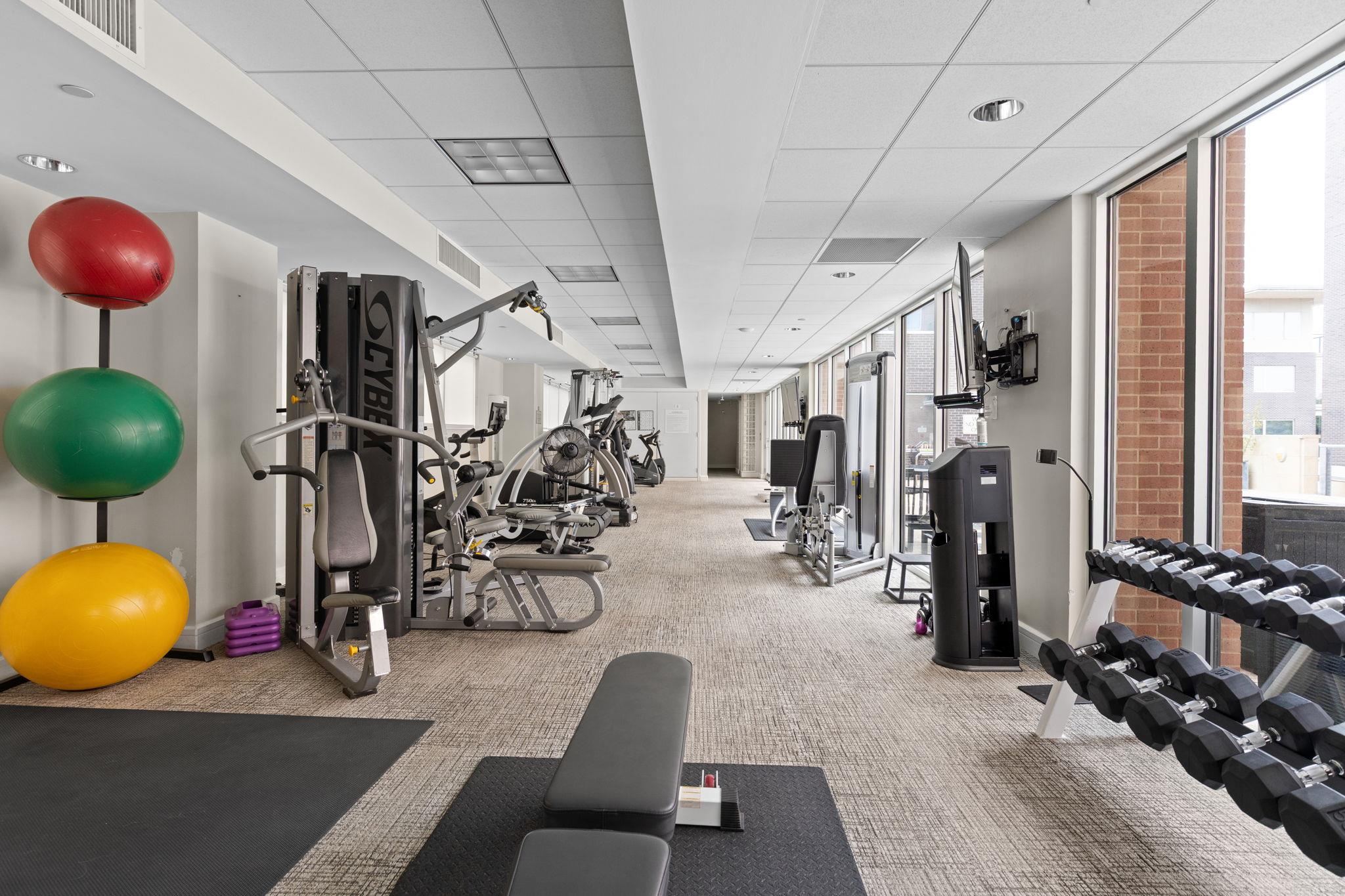Fitness center with weight machines, dumbbells, and colorful exercise balls beside large windows.
