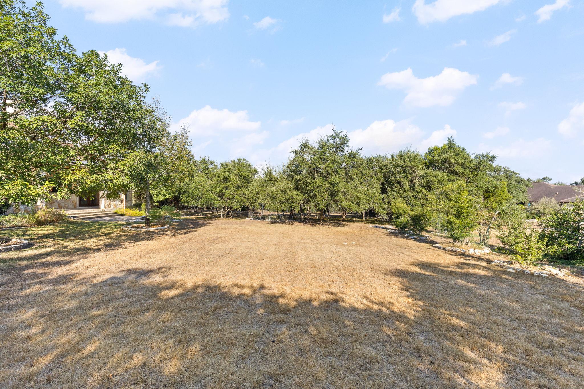 Open backyard with dry grass, mature trees, and part of the house at left.