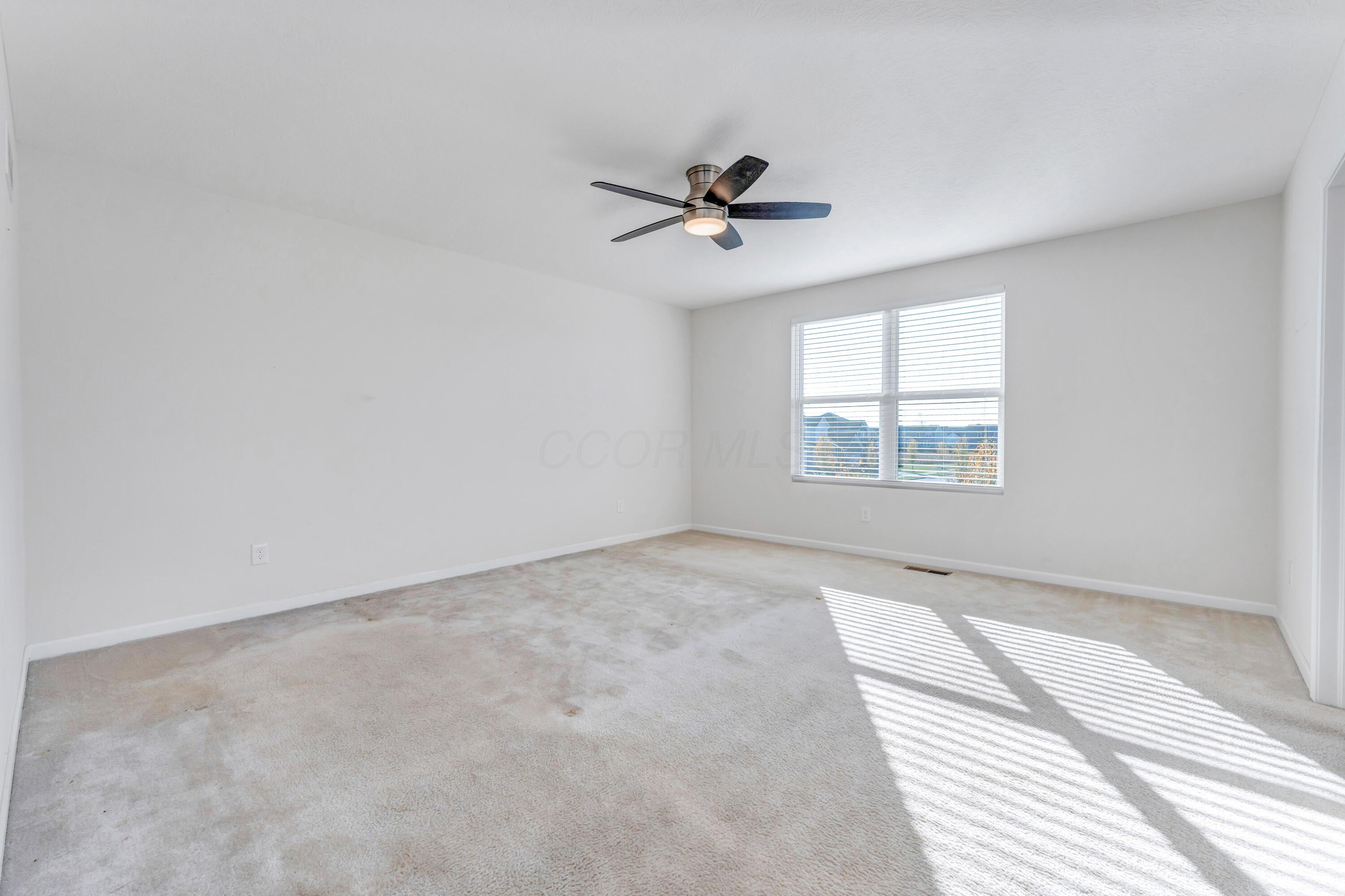 909 Peacock Drive