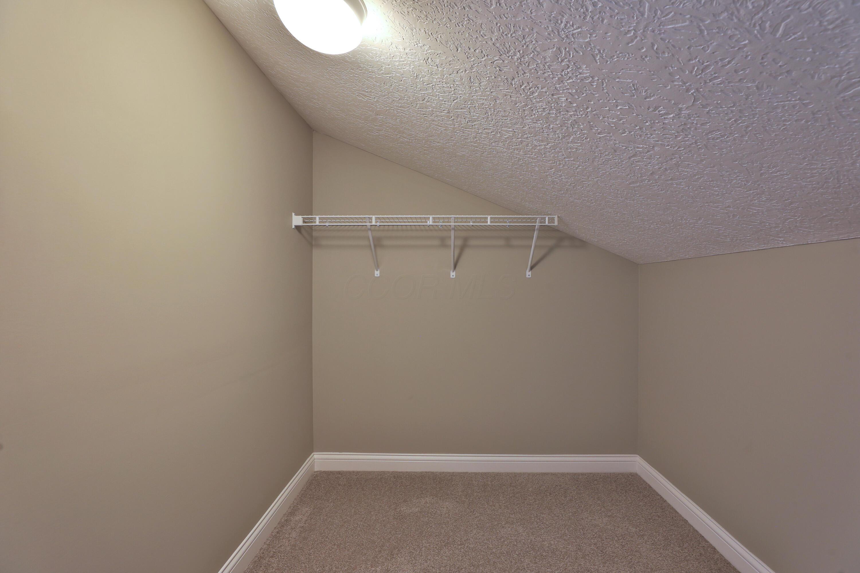 3922 Trail Ridge Drive