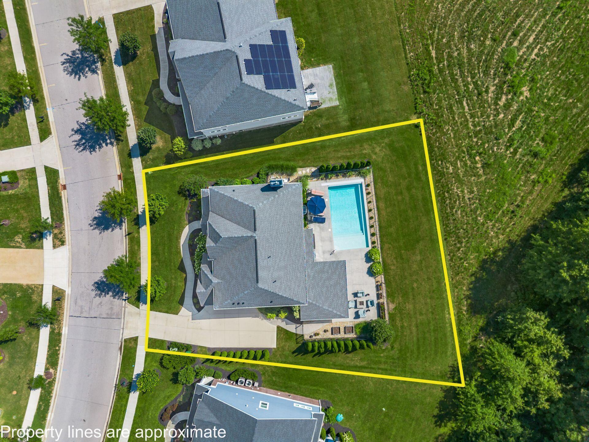 8153 Lilium Way