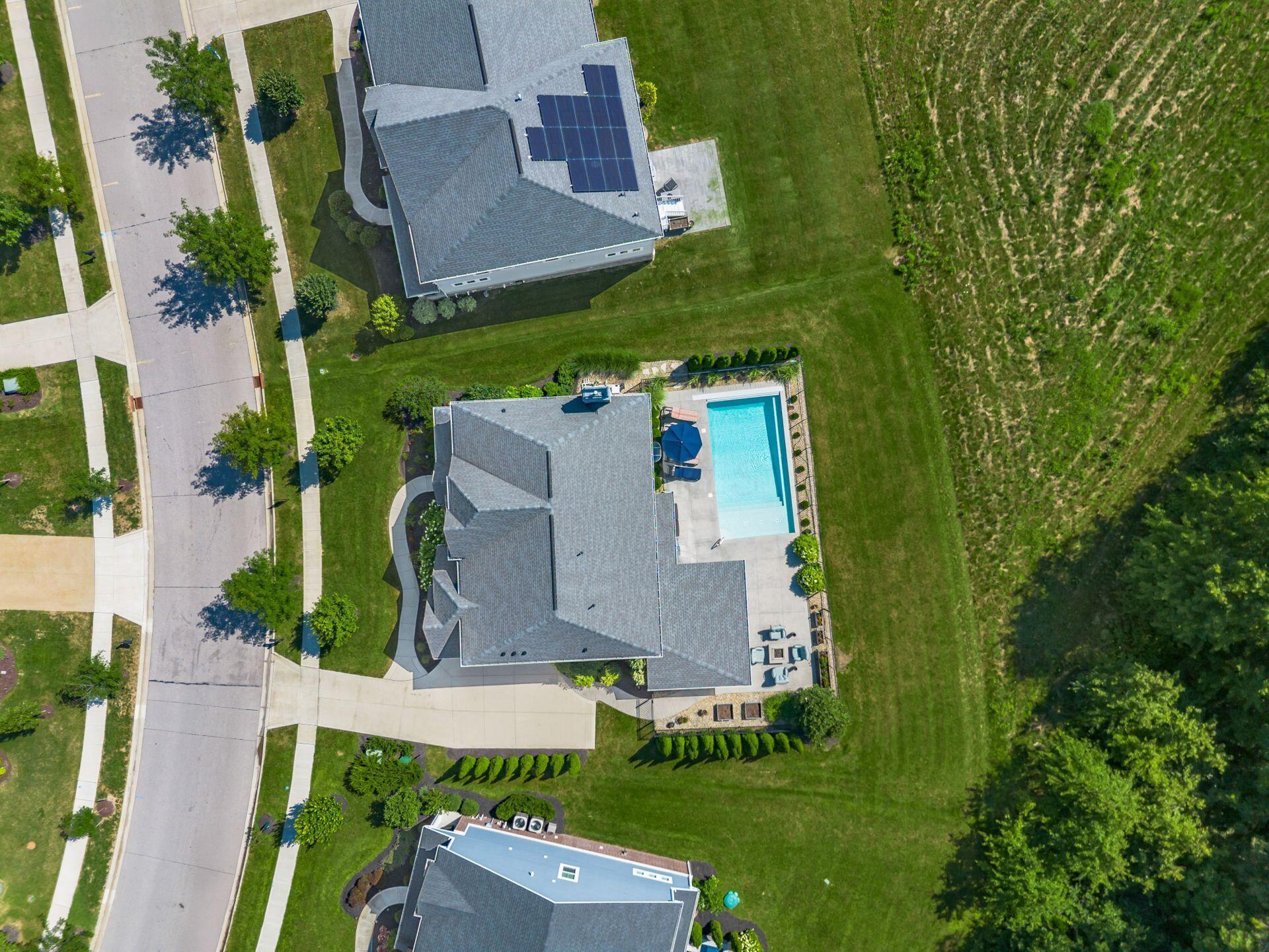 8153 Lilium Way