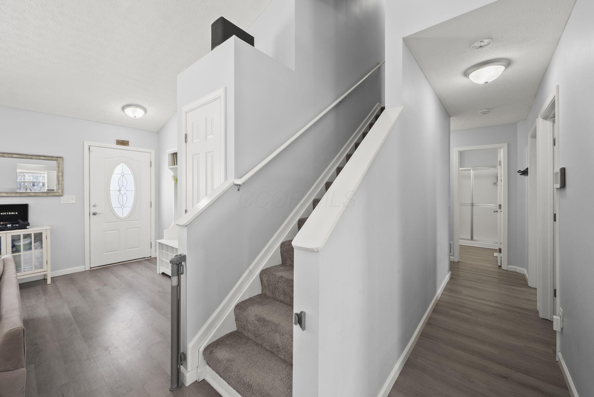 2297 Shelby Lane