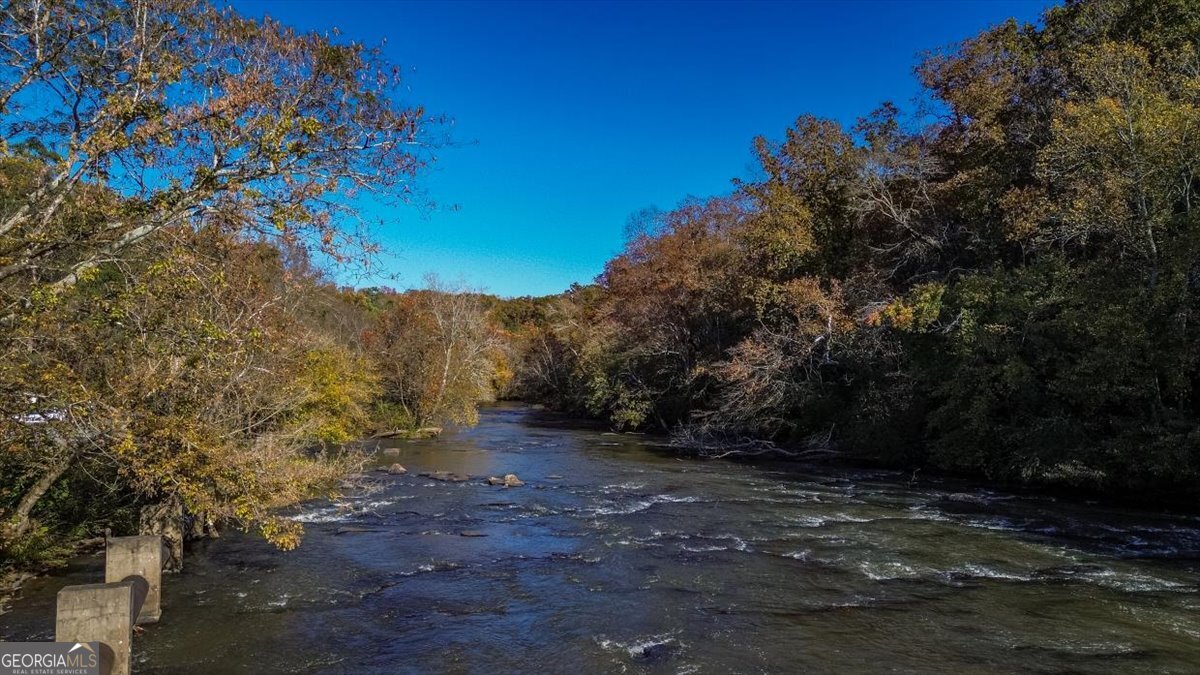 585 White Circle # 17