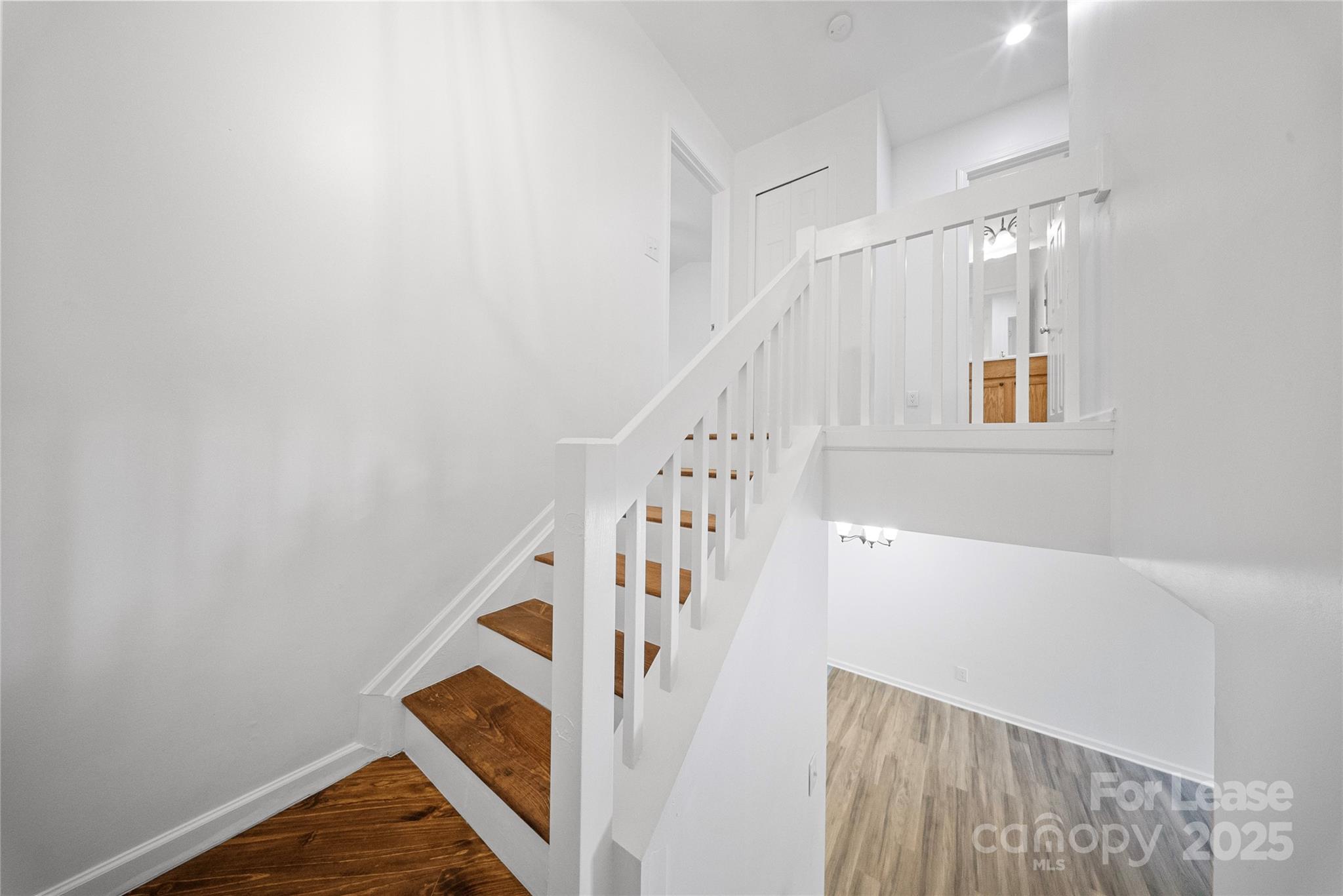 142 Mangum Circle