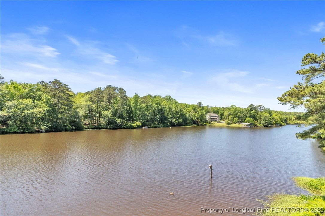 3316 Harbour Pointe Place 9