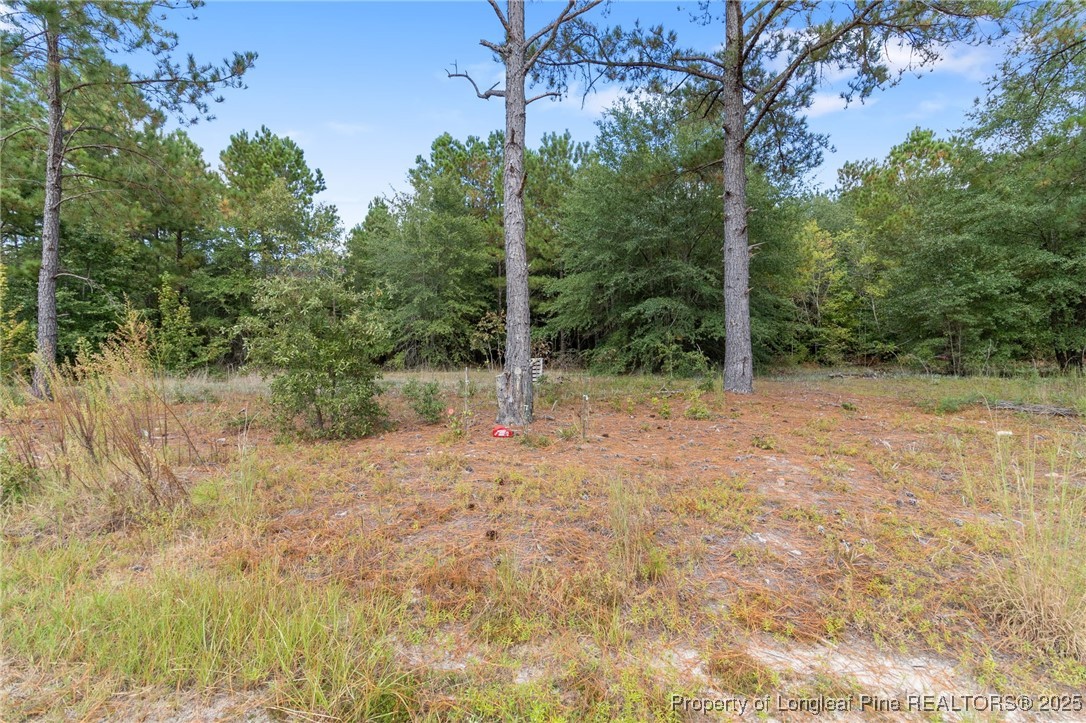 526 Kivett Court