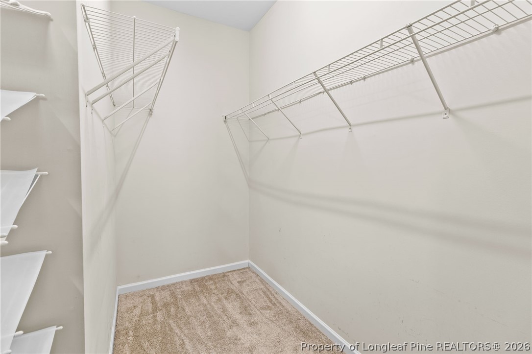 3905 Burlington Drive