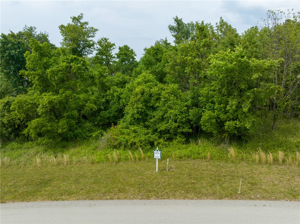 Lot #1 Ravenwood