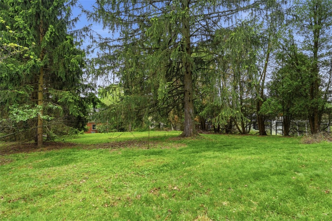 131 Manor Rd