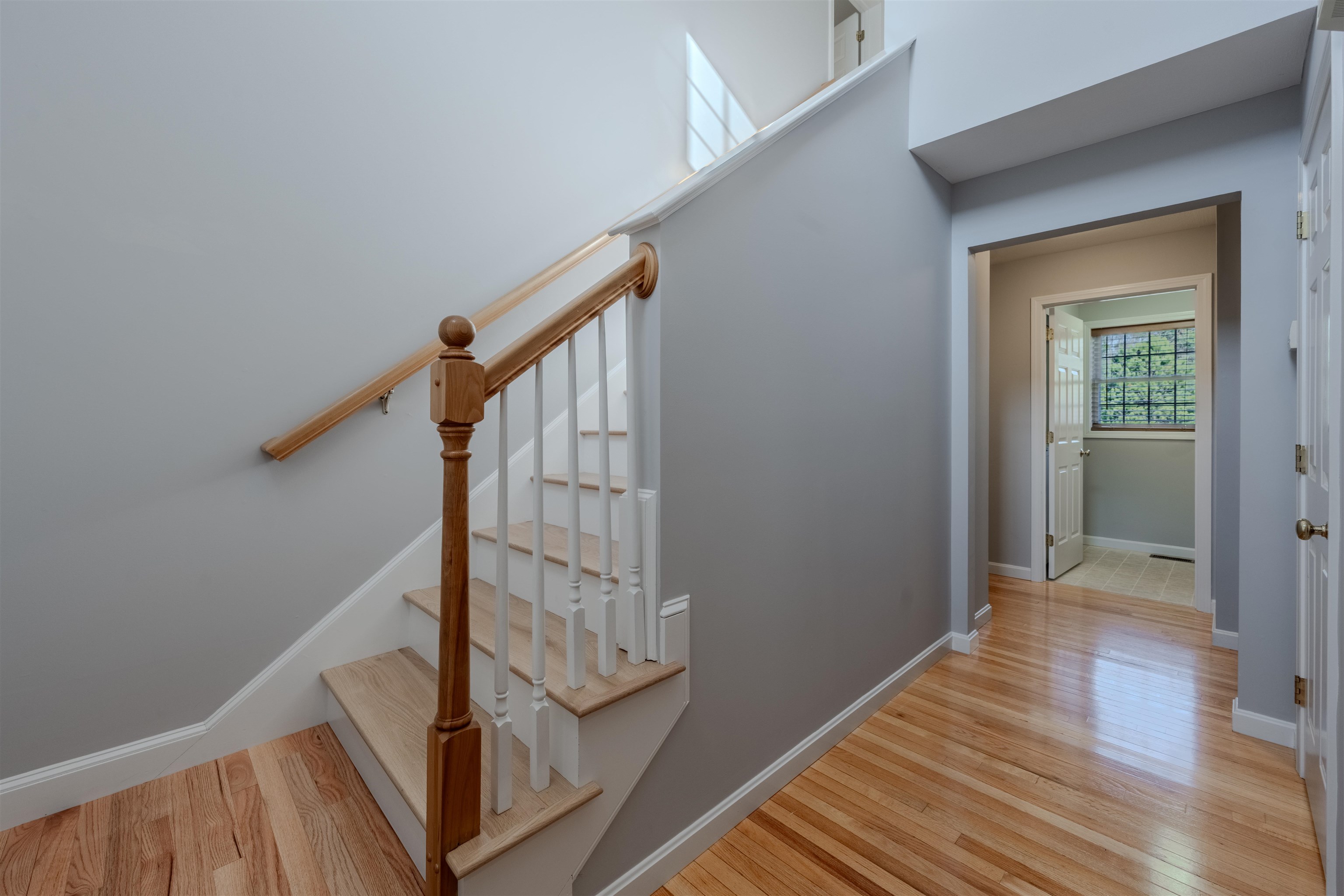 12 Forest Hill Way