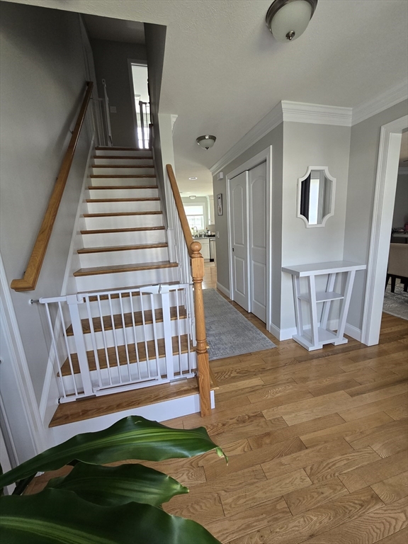 28 Hayfield Rd