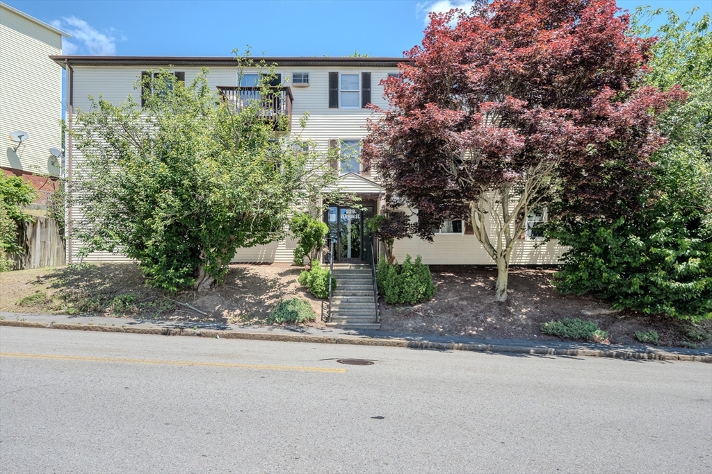 229 Vernon St # 3