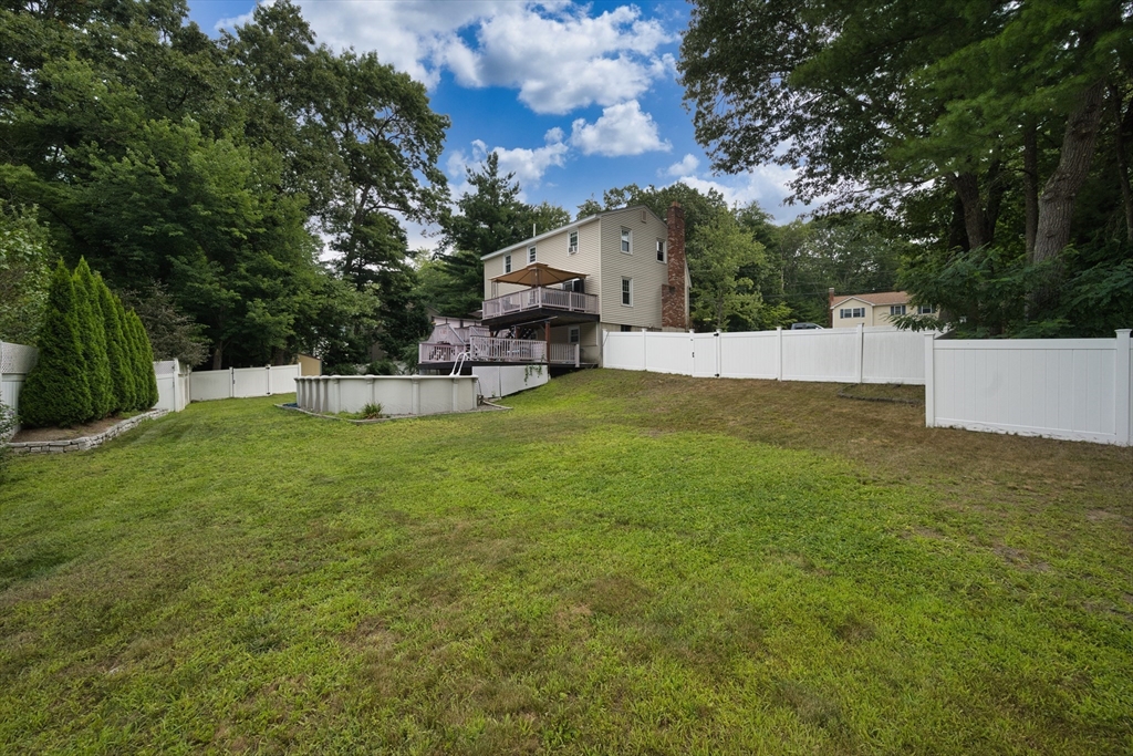 62 Dexter Ave