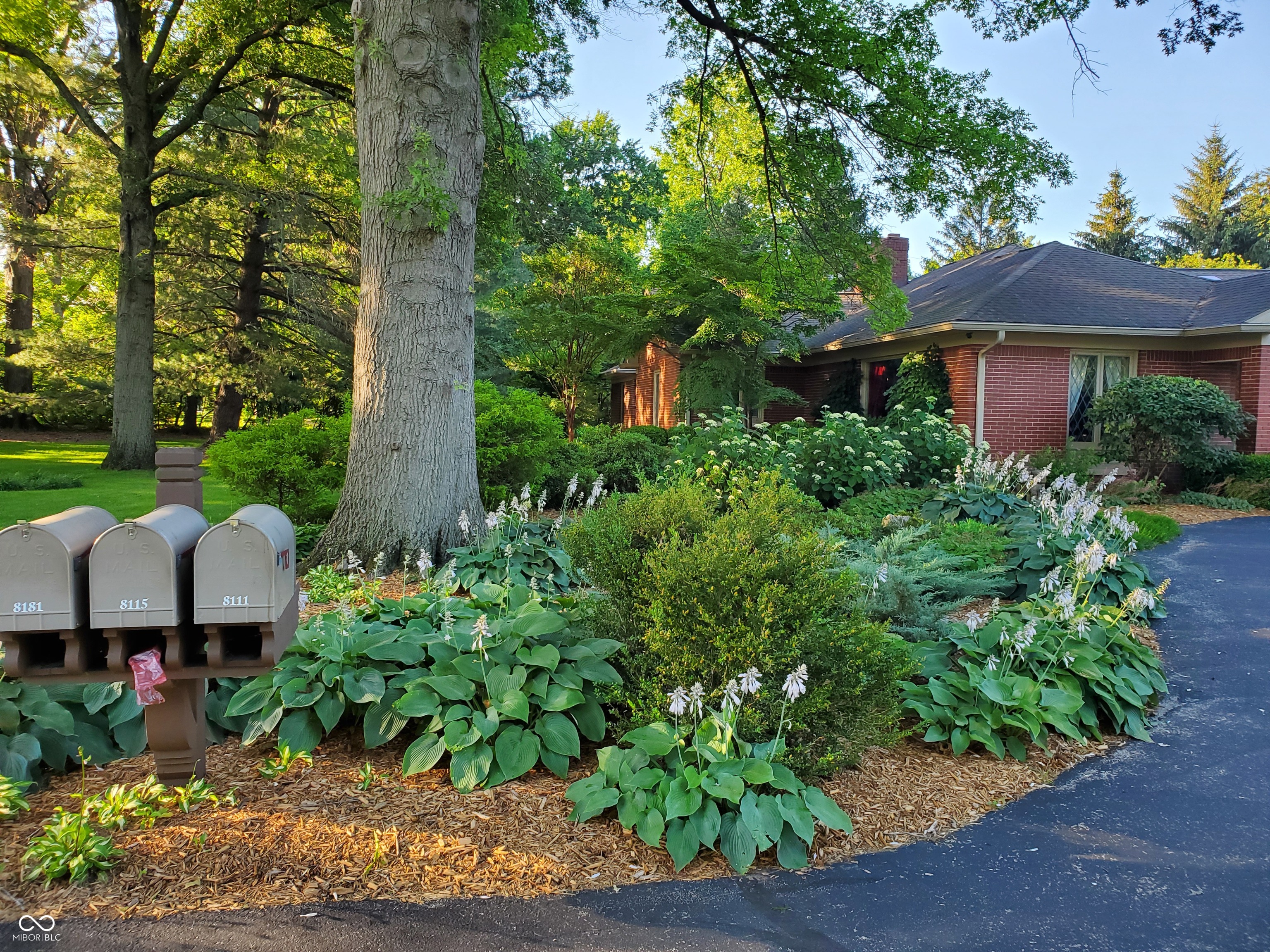 8181 Spring Mill Road