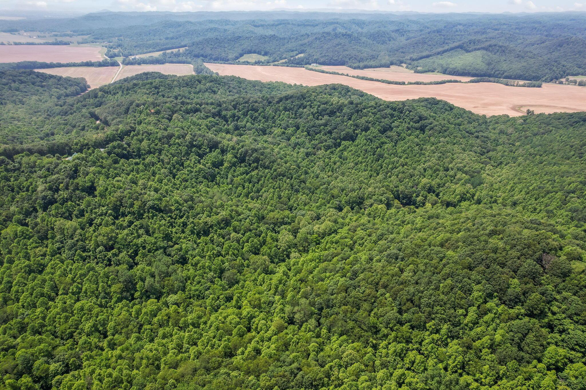 51801 State Route 671