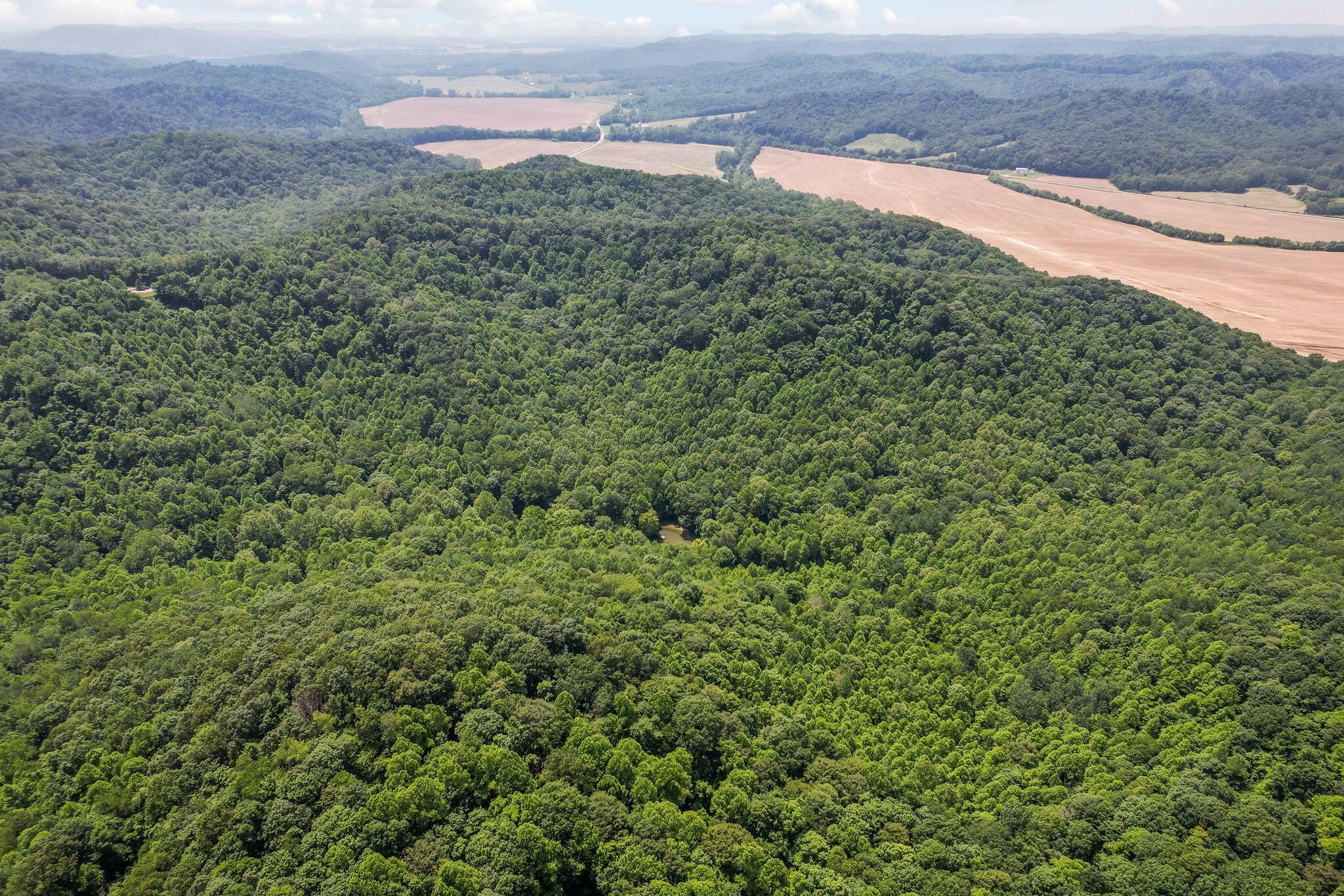 51801 State Route 671