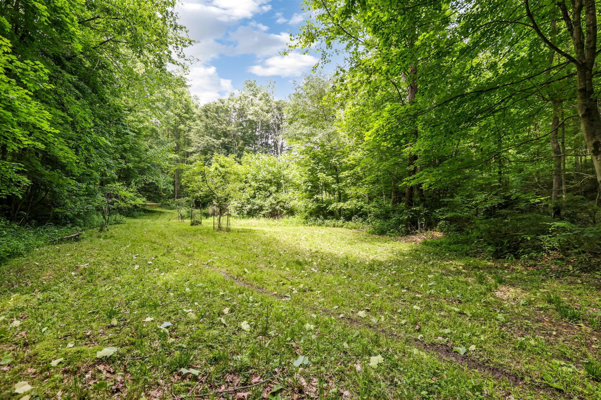 51801 State Route 671