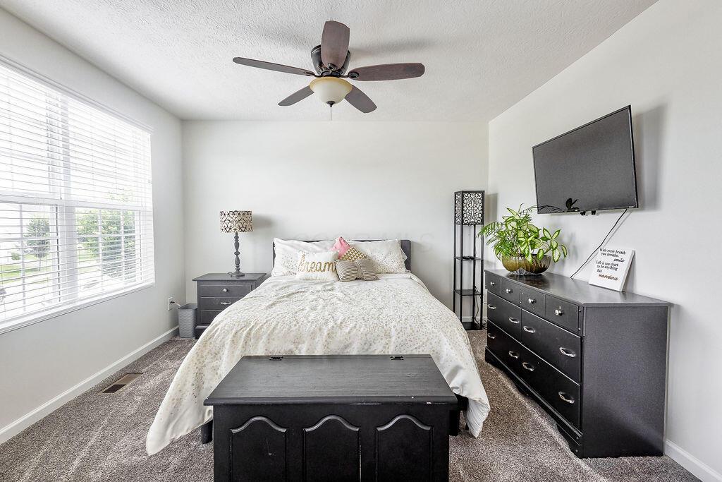 284 Lemming Dr. Drive