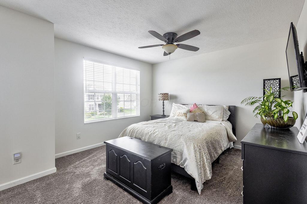 284 Lemming Dr. Drive