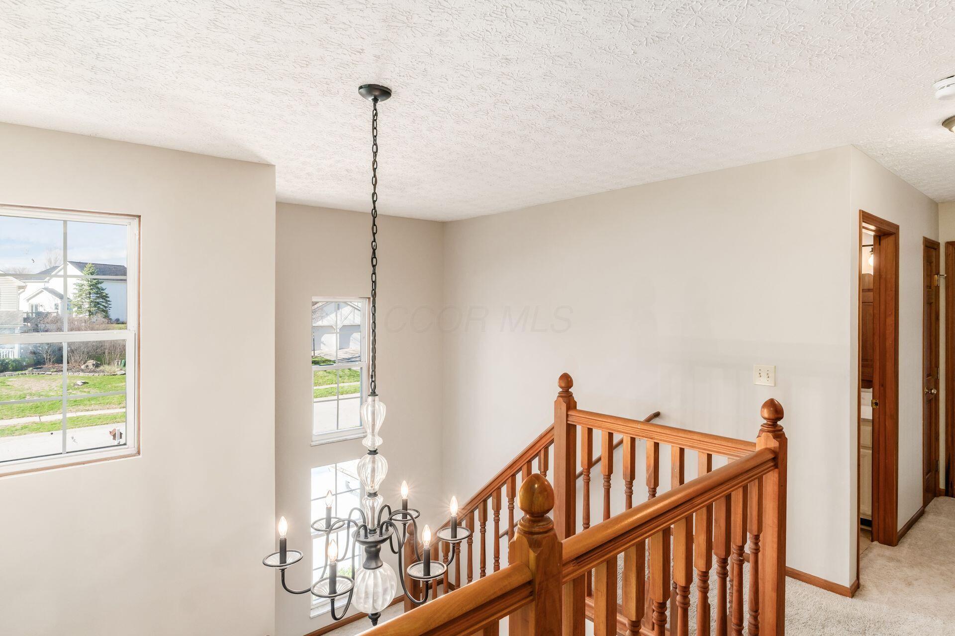 12316 Thoroughbred Drive