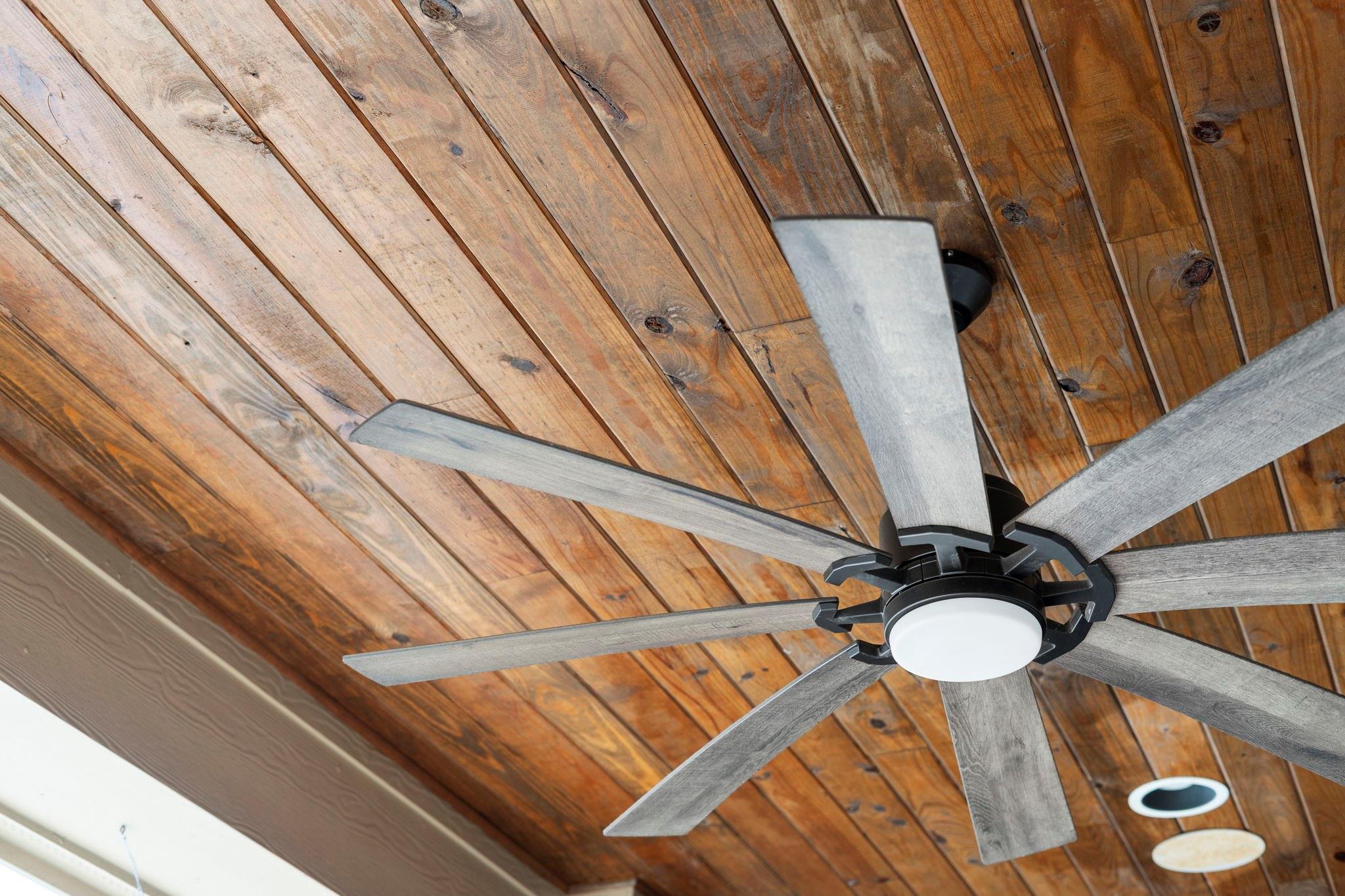 55 Adrianna Path Drive