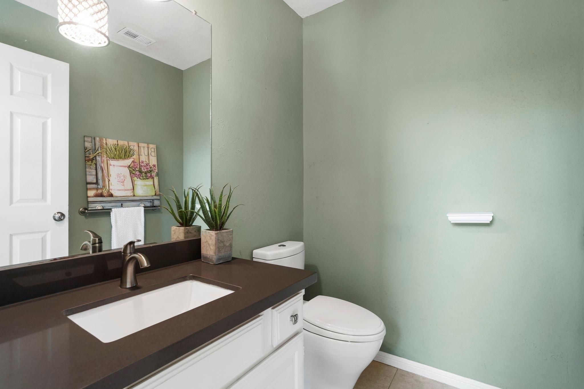 Bathroom with a dark brown vanity counter, white sink, pale green walls, and potted plants.