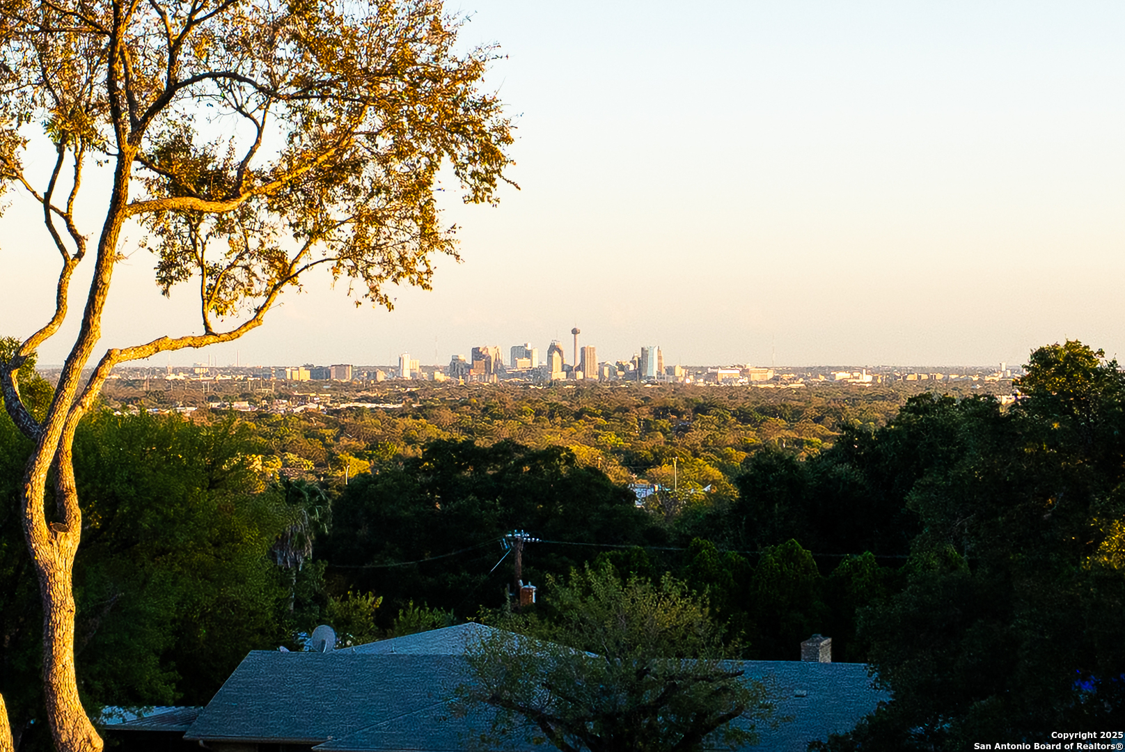 203 Lakeridge