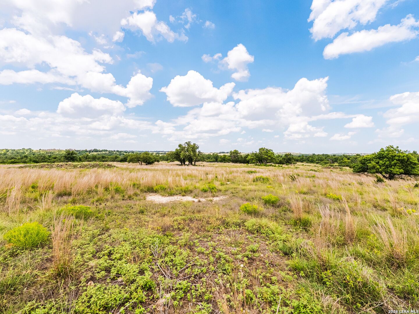 596 Ruger Road