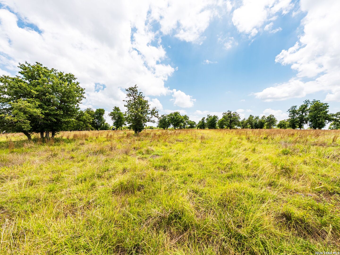 596 Ruger Road