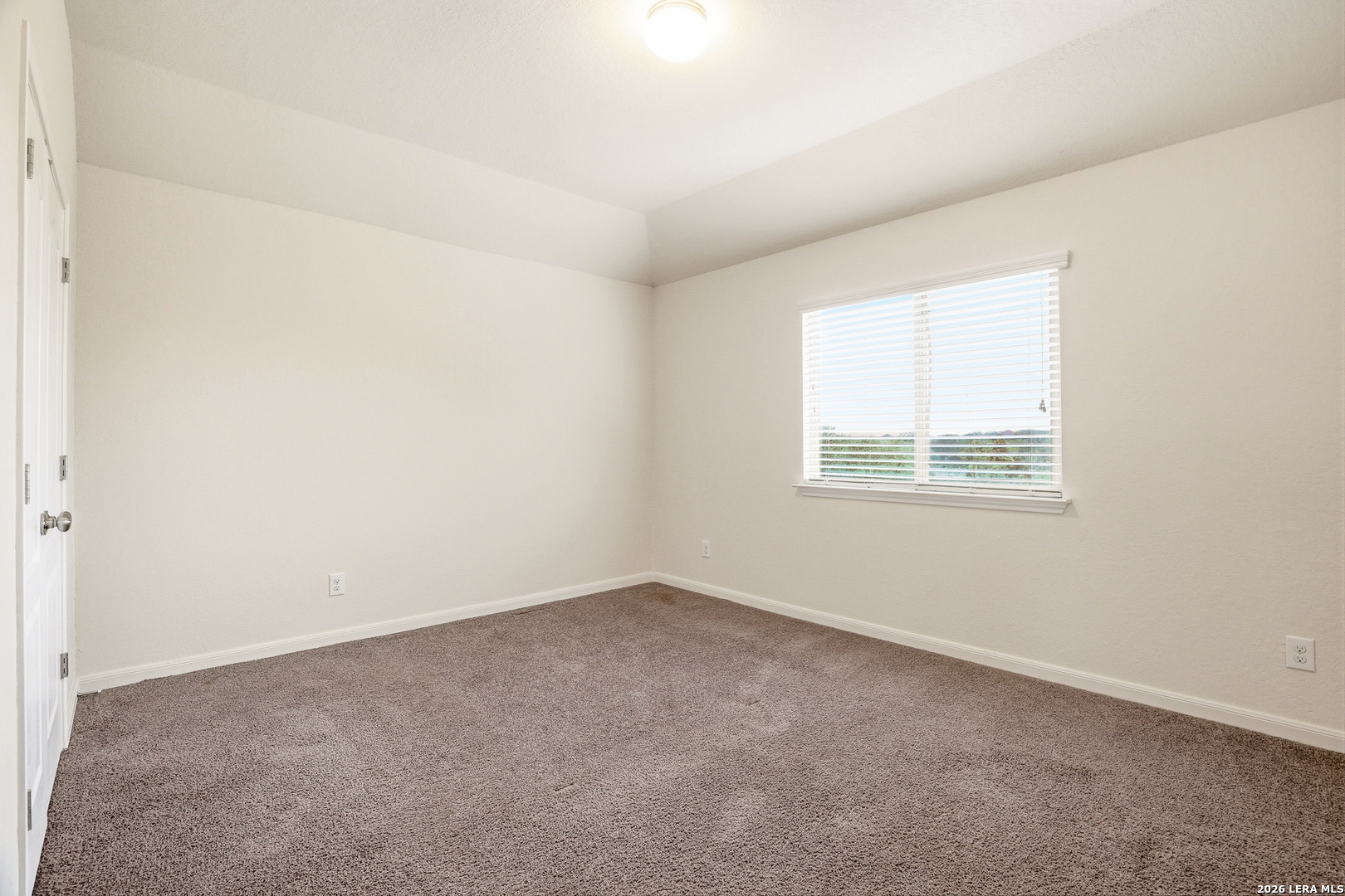 22915 Carriage Bush