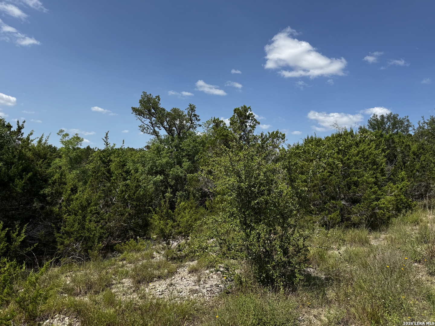 LOT 9 HILLSIDE DRIVE