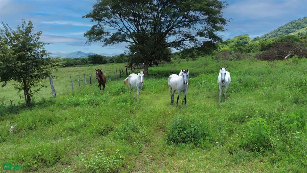 30 Hectare Finca in Santa Cruz