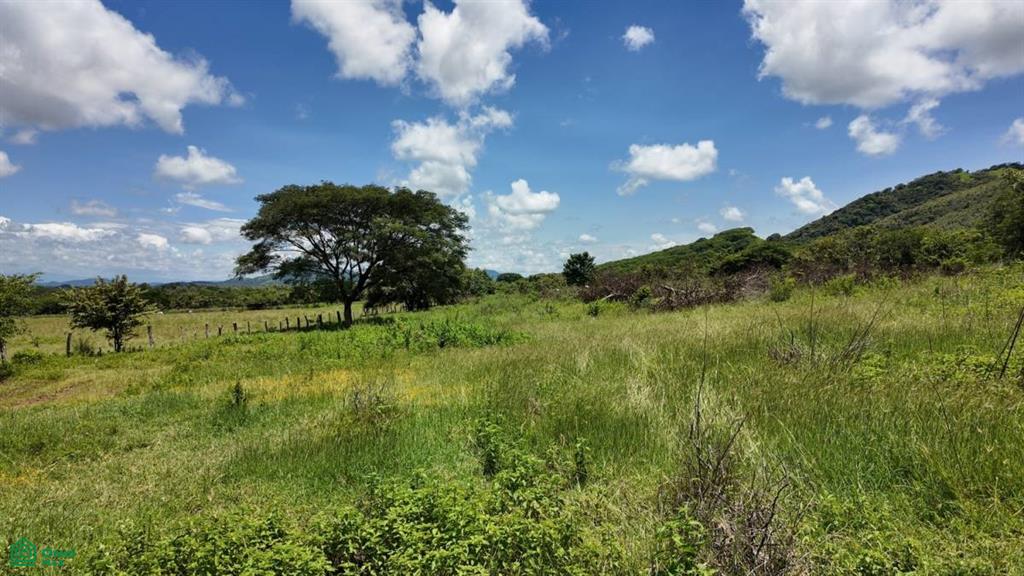 30 Hectare Finca in Santa Cruz