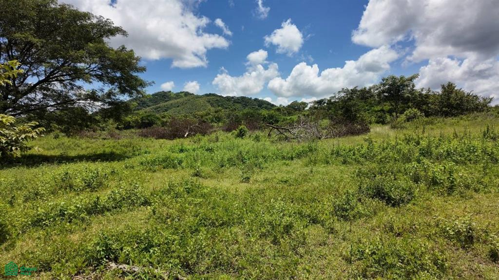 30 Hectare Finca in Santa Cruz