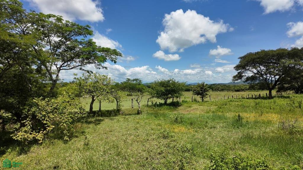 30 Hectare Finca in Santa Cruz