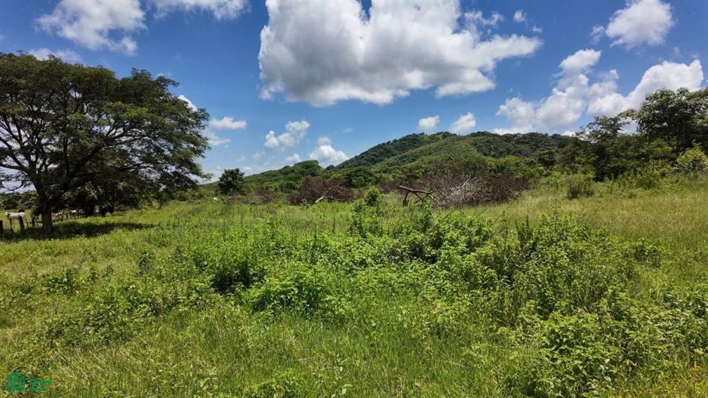 30 Hectare Finca in Santa Cruz