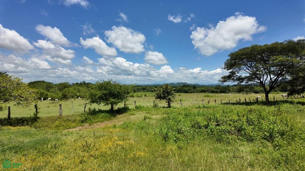 30 Hectare Finca in Santa Cruz