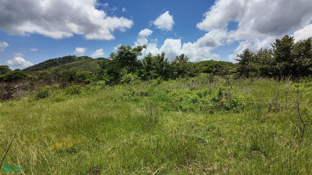 30 Hectare Finca in Santa Cruz