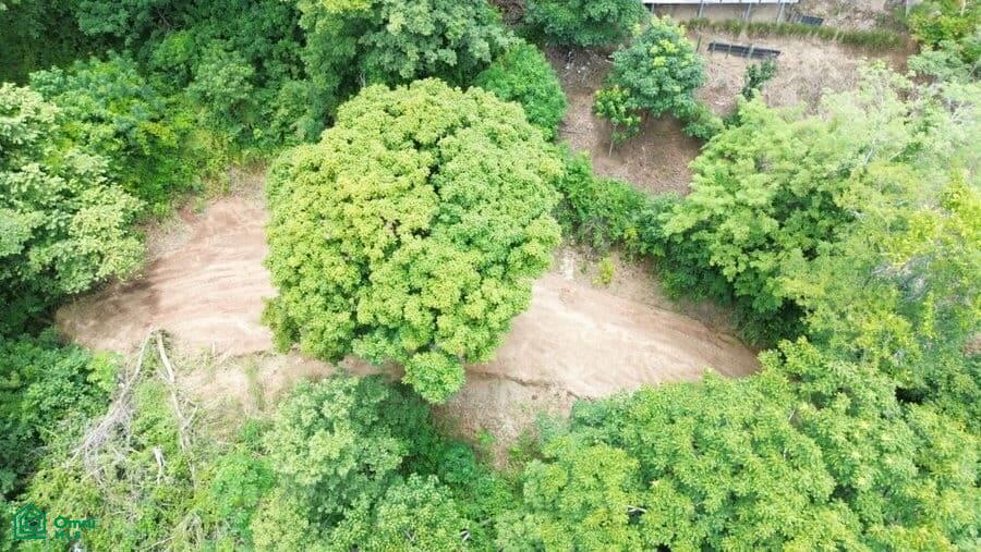 LA MARCELA GATED COMMUNITY , Playa Potrero, Guanacaste